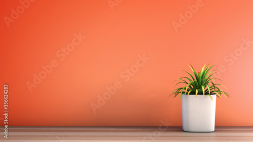 Cuadros en Lienzo a plant pod with orange background