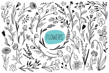 Wall Mural - Big collection with hand drawn outline flowers and leaves
