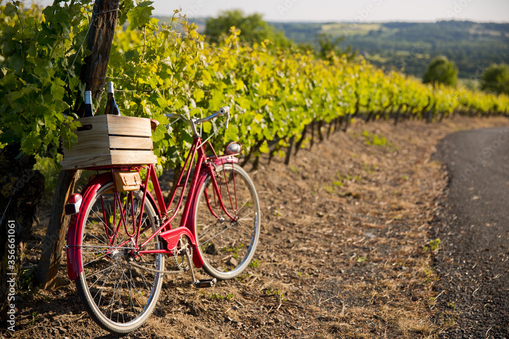 Vieux vélo rouge dans les vignes en France, caisse de bouteilles de vins sur le porte bagages. - obrazy, fototapety, plakaty 
