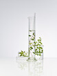 © PALASTIQUE - plantes et feuilles naturelles dans de la verrerie de laboratoire pour la recherche scientifique, ballon, bécher, éprouvette
