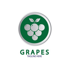 Grapes Vector Logo Icon isolated. Organic Wine branding template. Nature Grapes Logotype