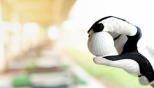 Female Hand Wearing White Professional Gloves With The Left Hand Holding Golf Ball Preparing To Hit The Golf Ball On Grass Course.