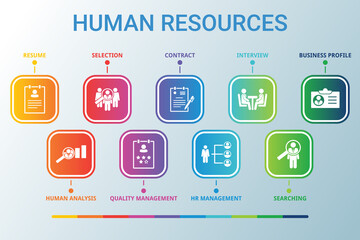 Wall Mural - human resources data infographics visualization. process chart. diagram with steps, diagramparts or 