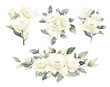 rose watercolor painting white and creamy flower bouquet wedding  vector 