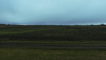 Agricultural field on a cloudy evening. Field landscape.