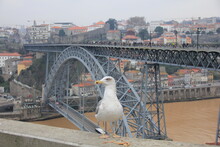 Voyage Porto Portugal