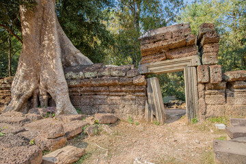 Wall Mural - Ruins Ta Prohm temple and Banyan Tree Roots, Angkor Wat complex, Siem Reap, Cambodia.