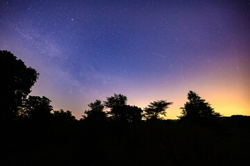 Wall Mural - Colourful long exposure star filled nightscape with shooting stars and silhouette trees in the foreground