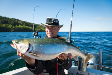 Wall Mural - Huge arctic trout - trolling fishing trophy