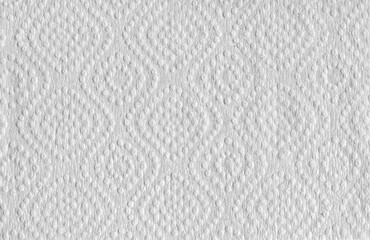 Canvas Print - white paper texture