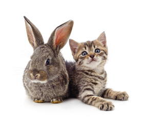 Sticker - Gray kitty and bunny.