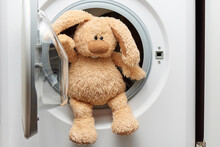 Stuffed Toy Rabbit In The Washing Machine.