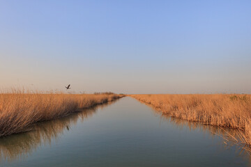 Sticker - Danube Delta, Romania