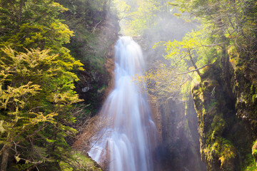 waterfall in the forest