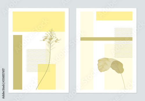 Minimalist botanical poster template design, plants and symmetry shapes, yell...