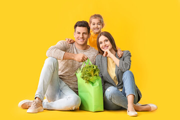 Wall Mural - Family with food in bag on color background