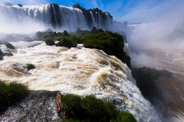Wall Mural - Iguazu Falls in Brazil