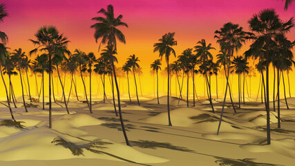 Wall Mural - Summer Palm Sunset 3d Render Background