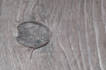 Wood texture. Lining boards wall. Wooden background. pattern. Showing growth rings