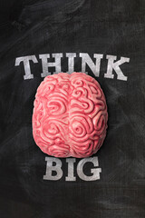 Wall Mural - human brain with think big message on a blackboard