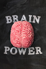 Wall Mural - human brain with brain power message on a blackboard