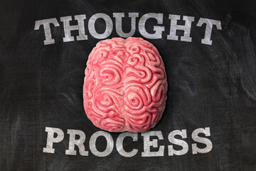 Wall Mural - human brain with thought process message on a blackboard