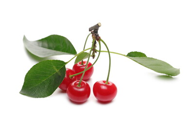 Wall Mural - Ripe tart, sour cherries with leaves isolated on white background