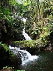 Wasserfall auf Big Island