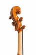 Violin headstock on white background