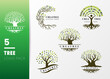 Green Tree and roots logo design vector isolated on grey background, Vector illustration silhouette of a tree with round shape.