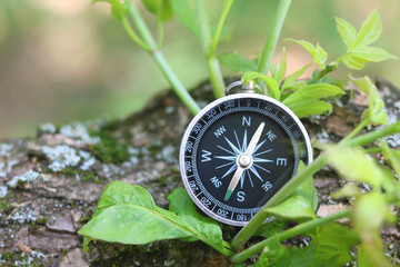 round compass on natural background as symbol of tourism, travel and outdoor activities