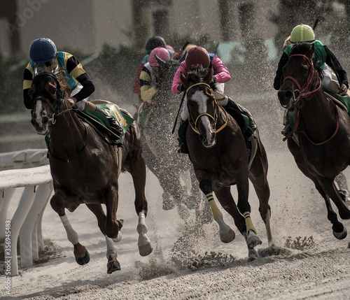 Fotomural competitive horse racing in heavy sandstorm.