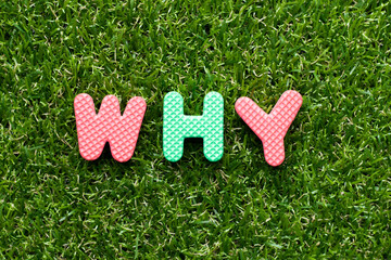 Wall Mural - Toy foam letter in word why on green grass background