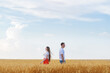 © somemeans - Man and woman standing back to each other in wheat field. Quarrel and misunderstanding in family