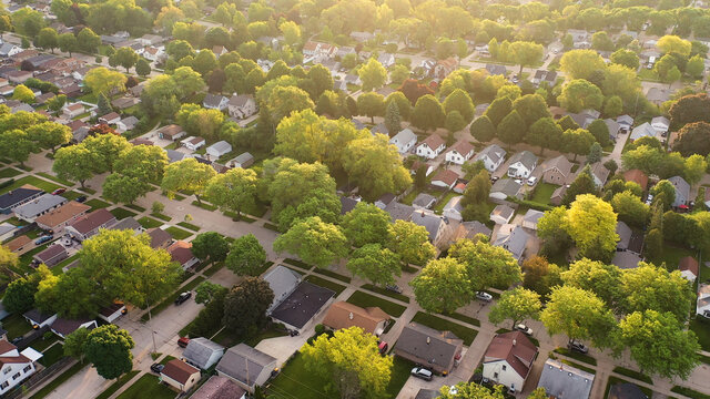 aerial view of american suburb at summertime. establishing shot of american neighborhood. real estat