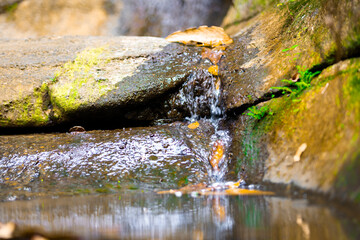 Wall Mural - water drops on the rocks