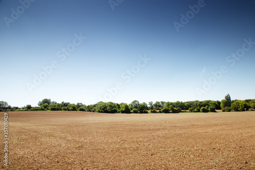 Cuadros en Lienzo farmland near the small essex village of chappel in essex