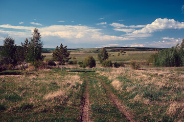 Wall Mural - panoramic landscape of central russia agricultural countryside with hills and country road. summer l