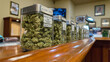 Jars of marijuana strains