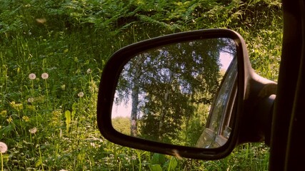 Car mirror and mosquitoes