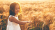 © Strelciuc - Caucasian girl in white dress walking in a wheat field and touching with hands the seeds during a sunset