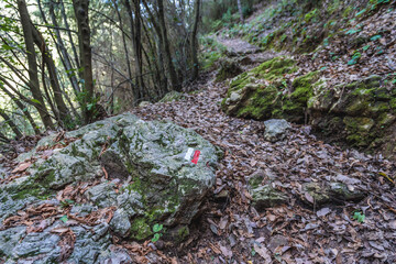 Wall Mural - Marked trail to Chouwen Lake on the Abraham River in Jabal Moussa nature park in Lebanon