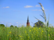 Church In The Meadow