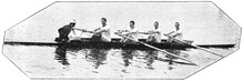 Rowing (sport). Illustration Of The 19th Century. White Background.