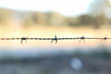 Close Up Image Of Barbed Wire Fence On Frosty Winter Morning
