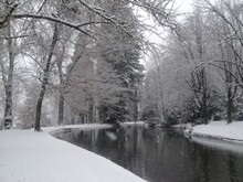 A Little Nice Pond Under Snow Falling In Winter With Trees Around