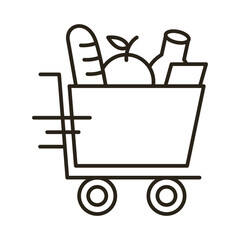 groceries in shopping cart delivery service line style