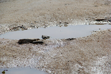 Wall Mural - 
puddle