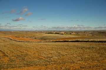 Wall Mural - Brown field under the blue sky during daytime