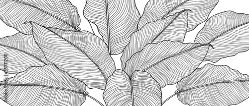 Hand Drawn Leaves Line Arts Ink Drawing Background Abstract Leaf Vector Pattern Tropical Leaves Design For Fabric Wrapping Paper And Prints Vector Illustration Stock Vector Adobe Stock Hand Drawn Leaves Line Arts Ink Drawing Background Abstract Leaf Vector Pattern Tropical Leaves Design For Fabric Wrapping Paper And Prints Vector Illustration Stock Vector Adobe Stock